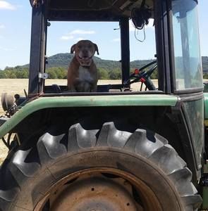 Meet your Posher, Wesley